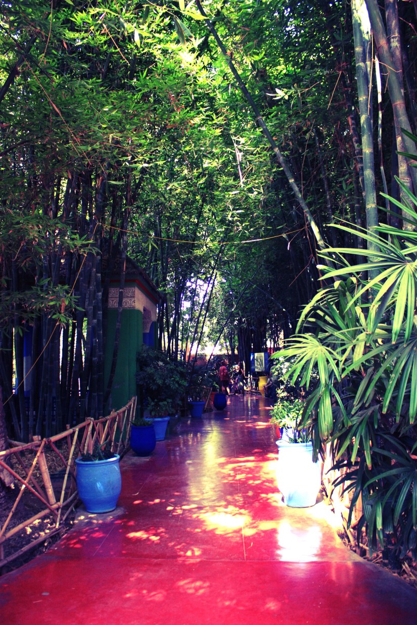 IMG_0135_InPixio_InPixio